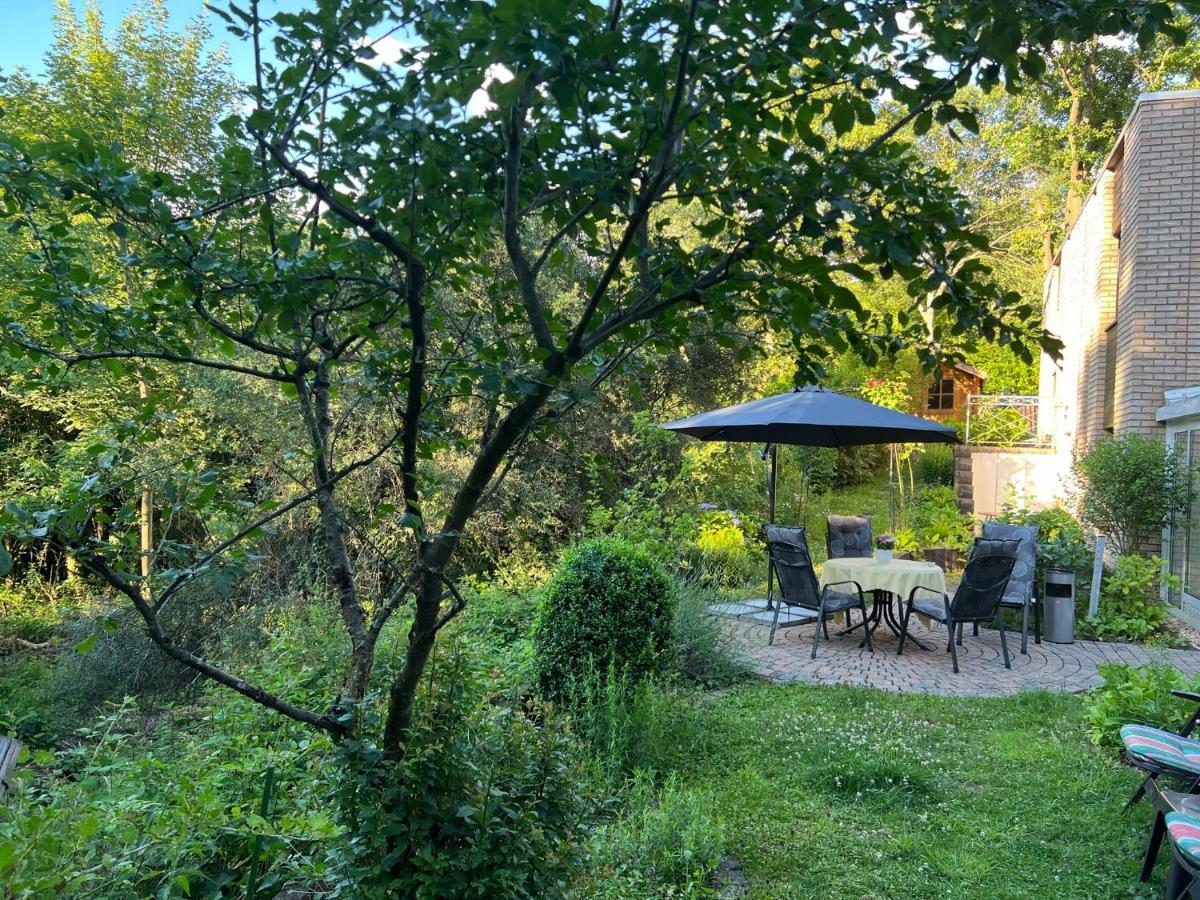 Gaestehaus Zum Buchenweg Hasenfeld Zewnętrze zdjęcie